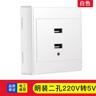Yingyu type 86 surface-mounted usb socket panel (minimum price of 10 pieces)