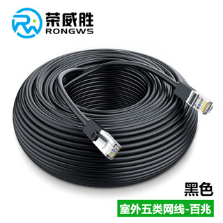 Rongweisheng cat5e outdoor network cable cat5 engineering home outdoor waterproof and sunscreen finished network cable 100 meters computer monitoring network jumper cable rws-cpwx-wl