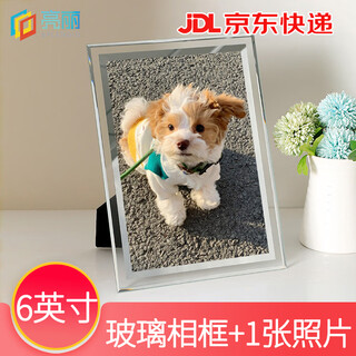 亮丽(SPLENDID) 宠物照片宠物摆台 冲印加框 定制照片框宠物画相框 6英寸透明简约玻璃框 相框+照片