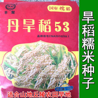 Семена горного риса Чжэнхань № 10. Урожайность на килограмм Цзинь Цзинь равна 0,5 килограмма Рис Индика Луодао 998 Рис прямого посева обычные семена риса Дань горный рис 53-500 грамм