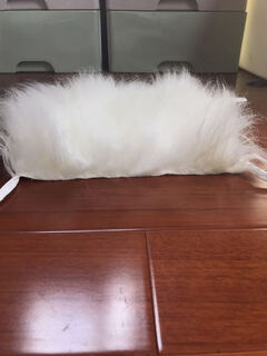 It it vip teddy pet grooming fake hair dog practice shearing model skeleton simulation head hair whole body hair piece back hair back hair piece