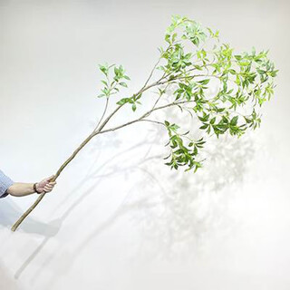 Flower e-flow simulated green plant mazuimu light luxury fake plant indoor living room clothing store window floor-standing ornaments hanging clock decoration mazuimu branch/2.1 meters