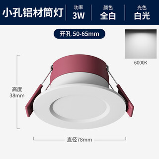 祎琳（yilin）led筒灯嵌入式5cm5.5cm6cm6.5公分开孔客厅牛眼灯天花射灯小孔灯 铝材3W【全白】白光开孔5-6.5c