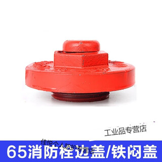 Outdoor fire hydrant accessories copper connector fire hydrant connector plug side cover dental buckle water outlet cover accessories 100/dn65 iron cover