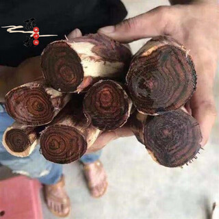 Dingfei hainan huanghuali wood log bracelets with eyes and grimace beads, bracelets with old materials, purple avocado and bran pear strings, diameter 2.5, length 30 cm