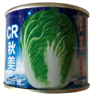 Autumn sown chinese cabbage seeds in vegetable gardens and field planting for farmers in winter cabbage vegetables qiumei cabbage seeds canned 50g