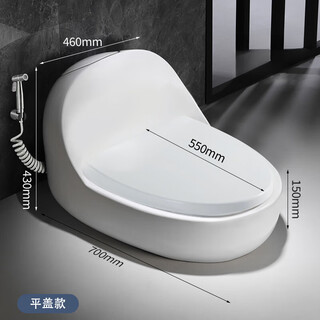 蹲坐两用马桶一体改蹲便器可蹲可坐双用二合一台式蹲坑坐便器 B款蛋型平坐盖 送喷枪 305mm