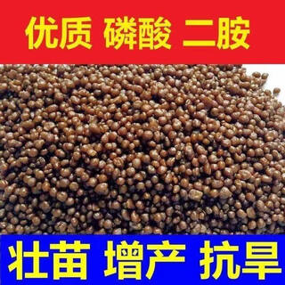 美国进口二铵化肥农用磷酸二胺复合肥壮苗抗旱抗倒农作物果树 优质磷酸二胺（2斤）