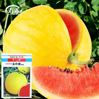 Shouhe yellow skin red flesh watermelon seeds fruit seeds for four seasons jin linglong yellow skin watermelon seeds 100 capsules x 4 bags