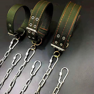 Rabbit dog chain traction rope anti-biting iron chain large dog collar dog walking rope small corkin german shepherd dog chain thick 2.5 mm (recommended 18 jin jin equal to within 0.5 kg) 1 meter long