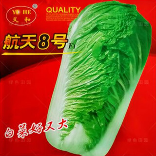 Autumn sown chinese cabbage seeds in vegetable gardens and fields for farmers to grow winter cabbage vegetables. aerospace no. 8 chinese cabbage seeds, 10 grams, about 1,000 grains
