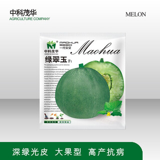 Zhongke maohua fruit seeds green melon seeds emerald south korea emerald green jade green skin green flesh melon seeds green jade 600 capsules/bag dark green skin large fruit type