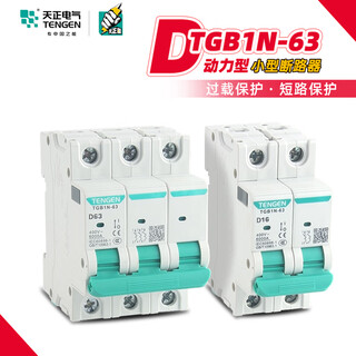 TENGEN2P3P4P空气开关电动动力型断路器 1A 1P