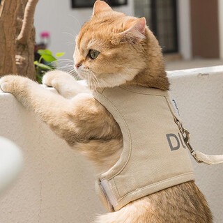 Huanpet.com cat traction rope cat rope pet anti-breakaway adjustable elastic vest type special walking cat rope outing supplies