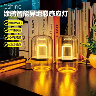 Cshine long-distance induction night light creative long-distance relationship lighting promise light remote response valentine's day gift white two pack