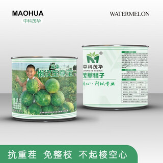 Zhongke maohua lazy man zhizunbao watermelon seeds, no pruning, no forking, low temperature resistant large fruit watermelon seeds, home gardening potted plants lazyhan zhizunbao 100g/box, low temperature resistance, no pruning required