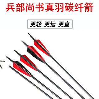 Minister of the ministry of war, ultra-light carbon fiber real feather arrows, american bow and arrows, winding reinforced carbon arrows, recurve bow archery arrows, 1 carbon fiber real feather arrow