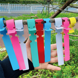 奔新农识别PVC防水环套标签花卉植物园艺标签塑料兰花标签苗木花木标签 100张 三节白色