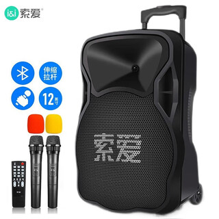 Sony ericsson f21 12-inch high-power subwoofer square dance speaker mobile outdoor bluetooth trolley speaker portable amplifier