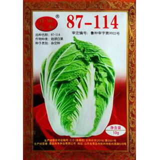 Autumn sowing chinese cabbage seeds in vegetable gardens and field planting for farmers in winter cabbage vegetables purple y and 87-144 cabbage 10 grams about one thousand grains
