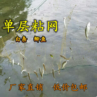 Pure cool small white strip meal fish net 4 points 5 points 6 points 7 points 8 points 9 points horse mouth single layer floating net floating net wire mesh fishing net 1 meter high single layer floating net 1 finger 8 meters long