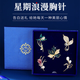 Ancient brooch, high-end women's exquisite niche corsage gift box, light luxury and elegant pin, silk scarf buckle birthday gift for women, practical bouquet brooch 5-piece gift box