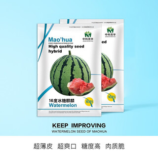 (normal delivery) zhongke maohua melon fruit seeds 16 degrees rock sugar kirin watermelon seeds super sweet 8424 hainan kirin melon flesh sweet crisp melts in the mouth thin skin jingxin type 16 degree rock sugar kirin 5g/bag