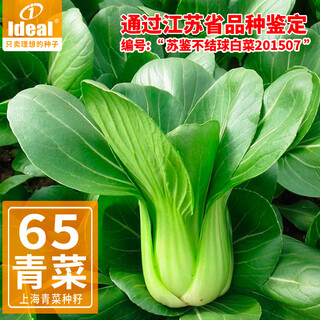 Ldeal ideal agriculture shanghai green cabbage seeds, cabbage, small rapeseed, four-season vegetable seeds, about 20,000 pieces