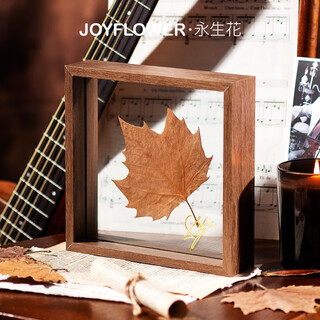 Joyflower champs’ falling leaves photo frame confession balloon ornaments new year’s eve birthday gifts for girls, friends and wife’s champs falling leaves postcard version randomly