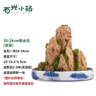 Shiguang station absorbent stone natural stone bonsai fish tank courtyard large fish pond landscaping absorbent stone original stone water stone bonsai 20-24cm absorbent stone containing 27cm blue flower pot