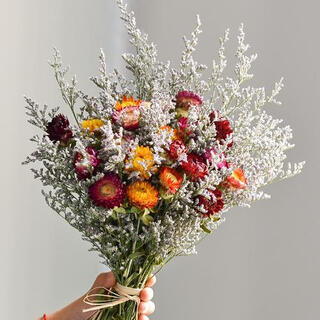 Aiman dried flowers, preserved flowers, decorative ornaments, cotton real flowers, small fresh eucalyptus leaves, daisies, pine cones, living room and bedroom flower arrangements, lover's grass + small daisy bouquet, with glass vase