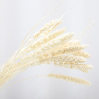 Aiman natural chrysanthemum dried flowers real flowers air-dried ins internet celebrity flower decoration ornaments literary flower arrangement nordic decoration white millet 10 pieces