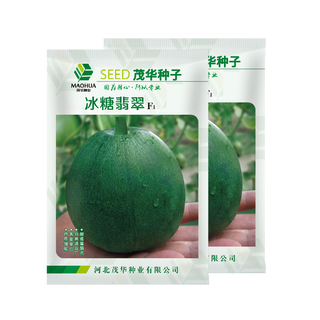 Zhongke maohua melon, fruit and vegetable seeds rock sugar emerald melon seeds apple cantaloupe seeds thin skin super sweet sugar content 18 rock sugar emerald 100 capsules/bag
