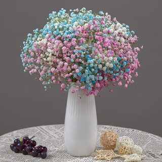 Aiman flowers real flowers dried flowers natural gypsophila bouquet home living room store celebration decoration gift ornament birthday blue pink white gypsophila mixed pack (with porcelain vase in the picture) dried branches