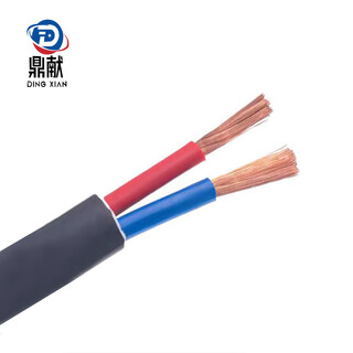 鼎献 电线电缆 RVV 2*1平方 二芯国标多股铜丝信号线软护套线 全项保检 1米