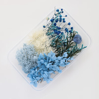 Diy mixed flower box mixed dried flower material package handmade material package home decoration real flowers air-dried natural blue flower material dried flower package