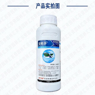 Mercer ambrosia 25% pyraclostrobin cucumber powdery mildew banana leaf spot pesticide imported fungicide 500 ml bottle