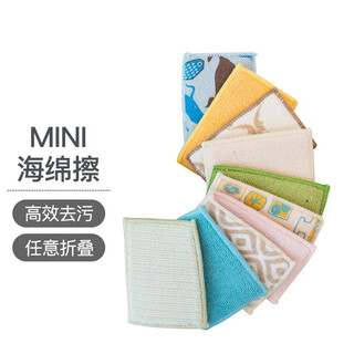 Bearfamily multi-purpose absorbent sponge, dishwashing sponge, teacup brush, white shoe cleaning tool, 5-piece quantity pack (random colors)