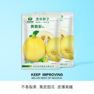 Zhongke maohua melon fruit seeds maohua sweet fei sweet melon seeds northeastern hybrid jin fei cantaloupe oval sugar contains 16-18 degrees yellow crisp pears 500 capsules/bag yellow skin crack-resistant type