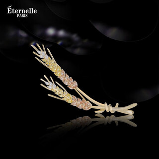 Eternelle french eternal original design internet celebrity jewelry brooch for women niche design collar pin clothing brooch brooch bright gold
