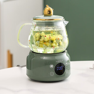 Ingri health pot gift for elders, practical tea set gift for home and office, health flower teapot birthday gift for girls, xiaocaoling-ceramic lid丨health pot 600ml