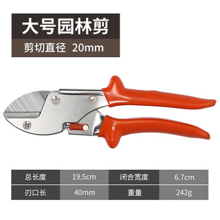 Zhengqi pruning shears, branch scissors, gardening, garden tree scissors, fruit tree pruning special pruning and flowering tools, large, powerful chopping board type pruning shears