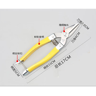 Mo shenggu stainless steel garden pruning shears, fruit picking shears, grape and orange picking tools, garden fruit tree scissors, spring shears, large fruit shears