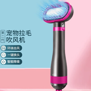 Pet hair dryer all-in-one for small dogs and cats teddy bichon dog hair blow-drying artifact for drying and combing black and white - hair-pulling fine combing needle (bead type)