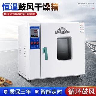 Zhutuo oven laboratory electric constant temperature blast drying oven industrial oven digital display high temperature food drying and aging oven internal 55*45*55cm stainless steel with blast