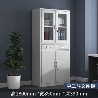 Office iron cabinet file cabinet file cabinet file cabinet with lock steel locker low cabinet storage cabinet medium two bucket file cabinet regular style (can be customized)