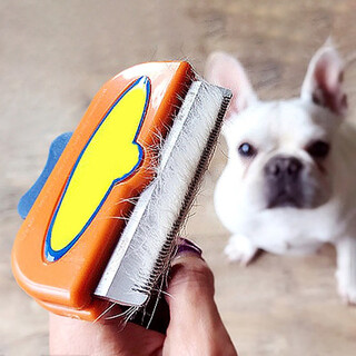 Slpc dog hair comb dog golden retriever french bulldog corgi remover comb cat hair comb remover brush pet hair cleaner m code/medium dog/short hair