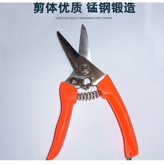 Customized i scissors electrician wire trough tiger scissors tiger head brand wire trough scissors gardening scissors 702