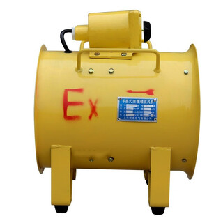 Dingzhuo electric (dinzoo) bsft-300 explosion-proof portable ventilator 220v380v small tunnel exhaust and air supply dual-purpose mobile fan bsft-300