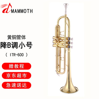 Mammoth mammoth b flat trumpet instrument brass instrument beginner entry performance examination western orchestral itr-600